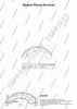 NPS M350A14 Brake Shoe Set